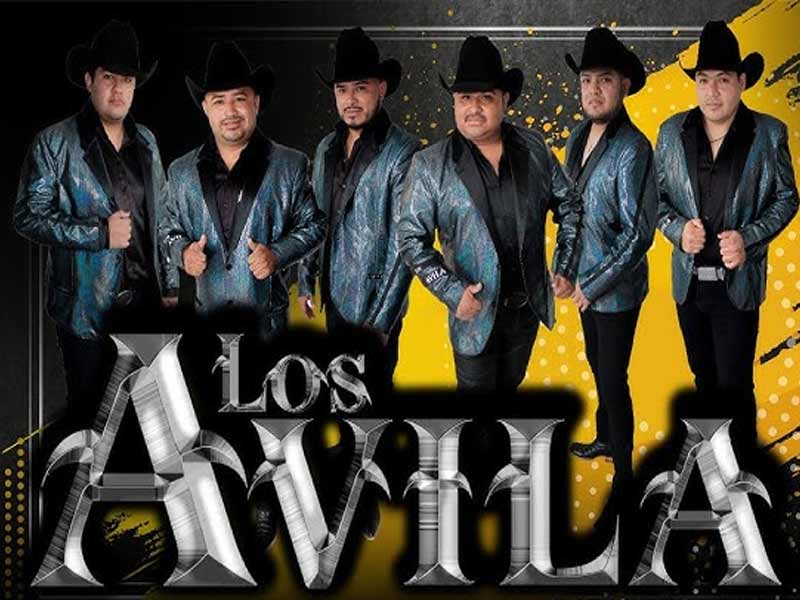 Cuanto cobra Los avila por contratacion para Xv años