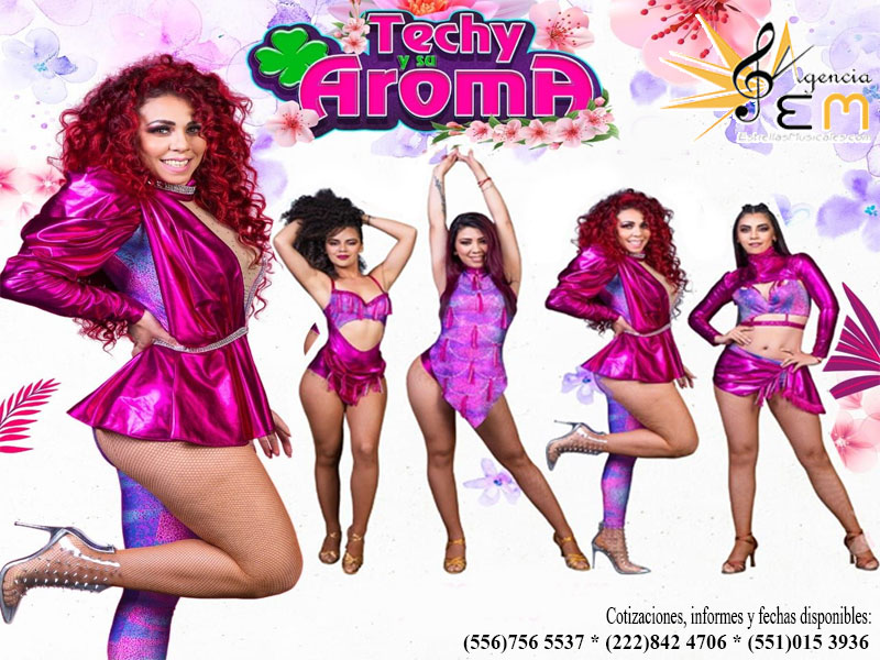 Grupo Aroma de Techy contrataciones cuanto cobra telefonos informes