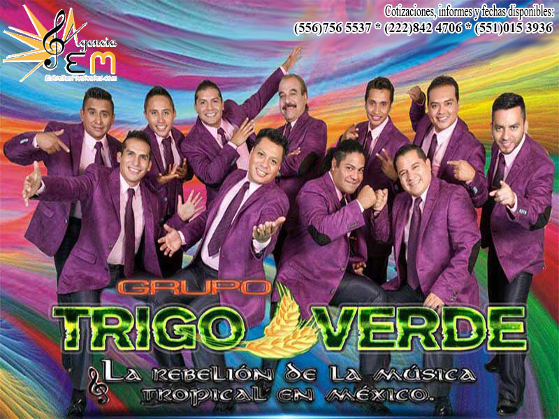 Cuanto cobra Trigo Verde contrataciones telefonos informes