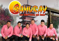 Grupo samuray contrataciones