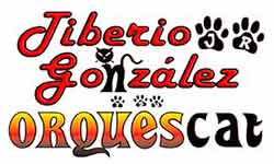 Tiberio Gonzalez orquescat contrataciones e informes