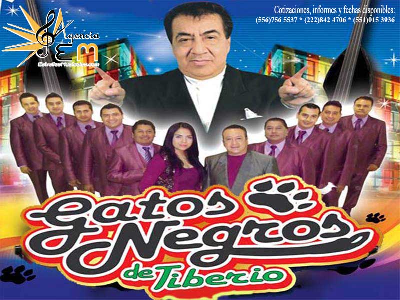 Tiberio y sus gatos negros informes y contrataciones