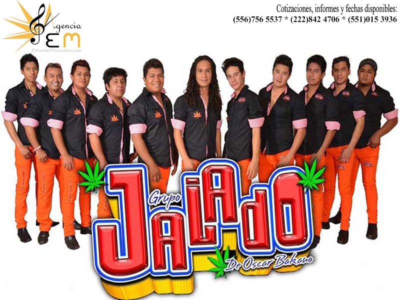 Cuanto cobra Grupo Jalado informes y contrataciones