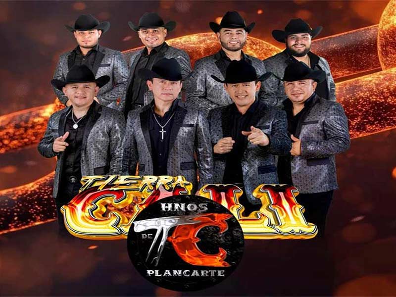 Cuanto cobra Tierra cali Contrataciones e informes