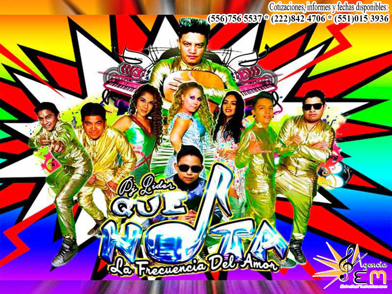 Q nota informes y contrataciones