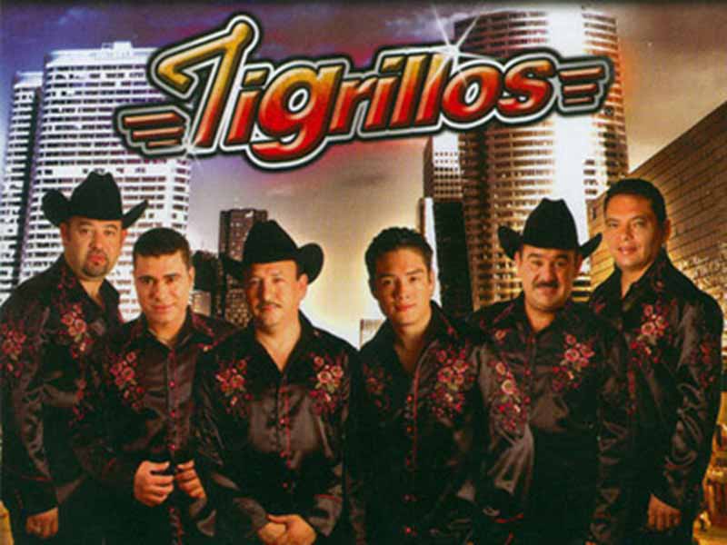 Cuanto cobra tigrillos contratacion telefonos informes