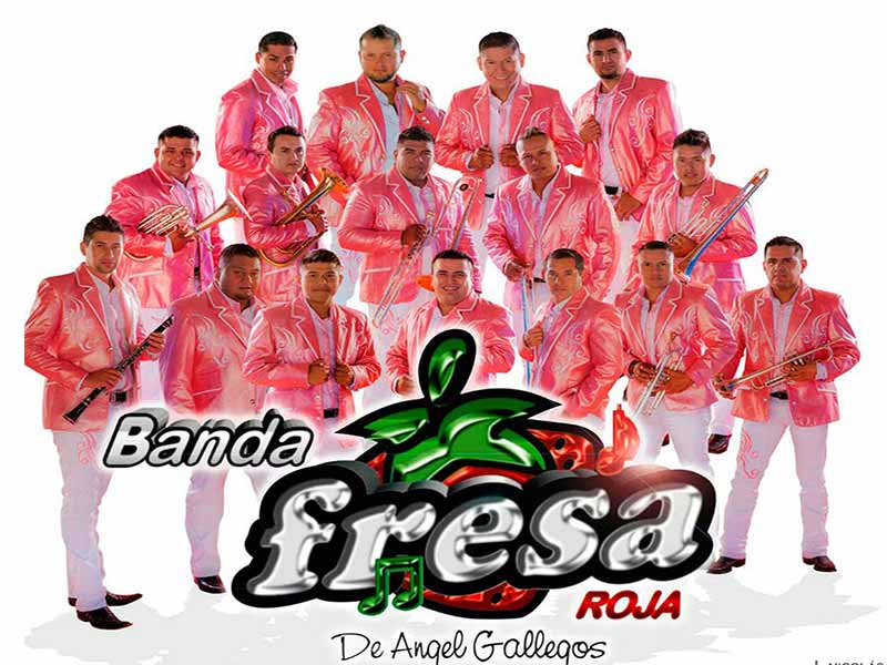 Banda Fresa roja informes y contrataciones