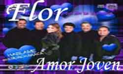 Flor y amor joven Contrataciones cuanto cobra informes