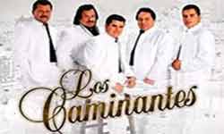 Contrataciones los caminantes
