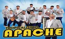 Tropicalisimo apache Contrataciones e informes