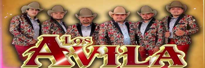 Los Avila contrataciones